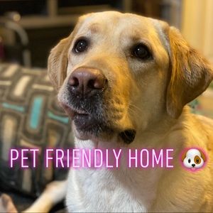 Closet announcement ❤️